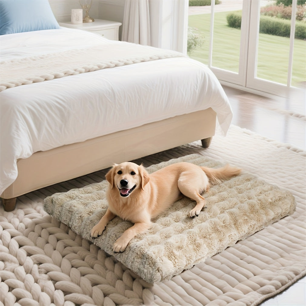 Golden retriever on the beige bed in a bedroom
