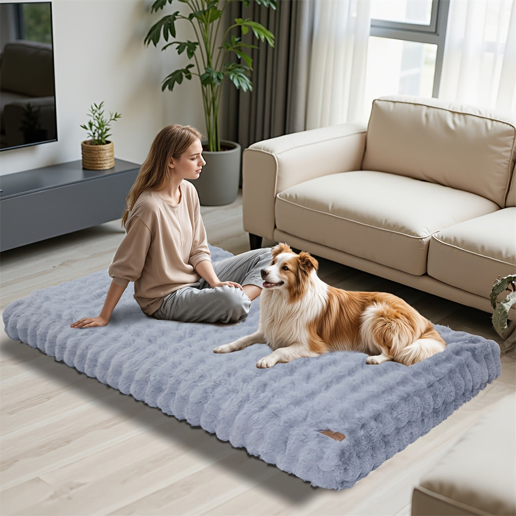 Owner and dog relaxing on the grey bed