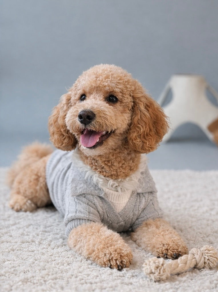 Cable-Knit Polo Sweater