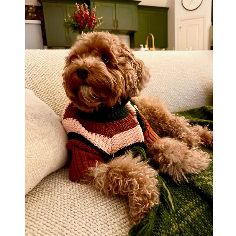 Bold Stripe Turtleneck Dog Sweater