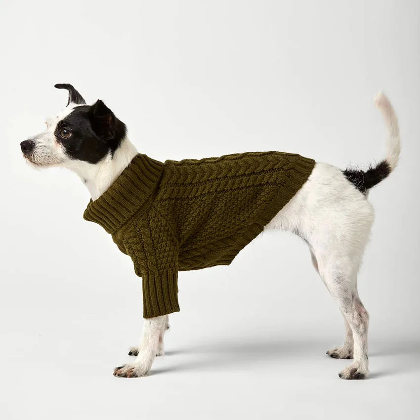 Side view of a dog in the olive cable-knit turtleneck sweater