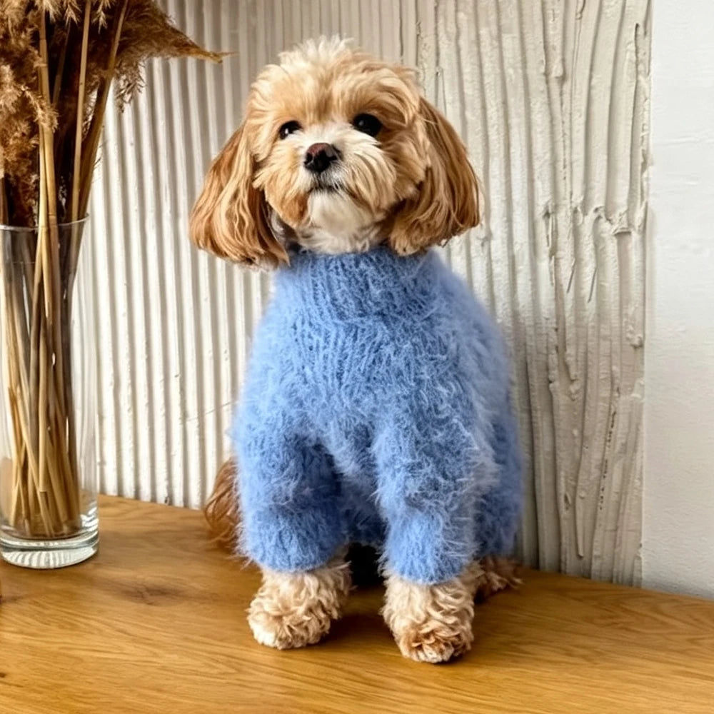 Small dog wearing the blue Fluffy Knit Dog Sweater with a high neck