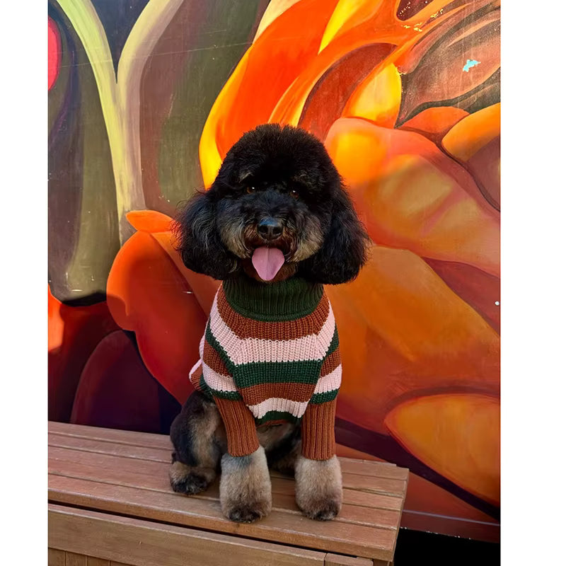 Bold Stripe Turtleneck Dog Sweater
