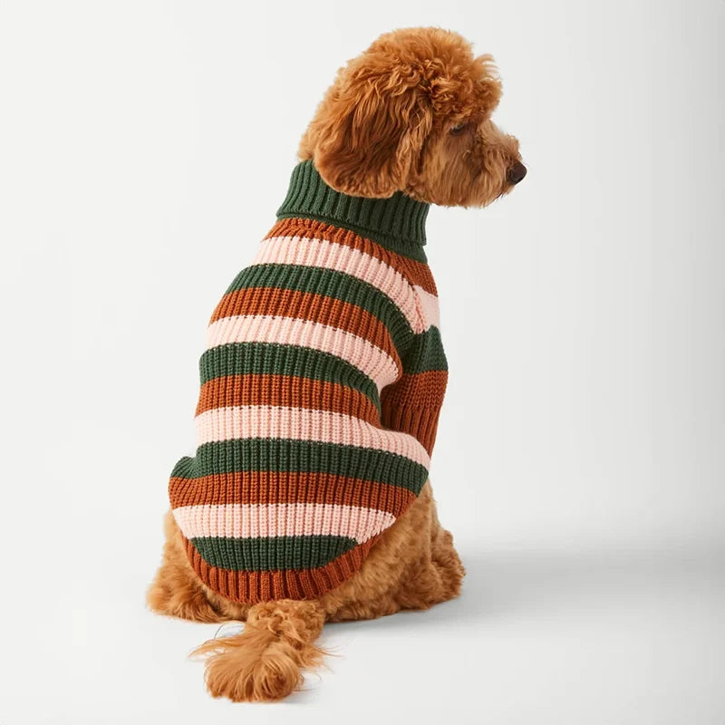 Back view of the Bold Stripe Turtleneck Dog Sweater with a roll neck
