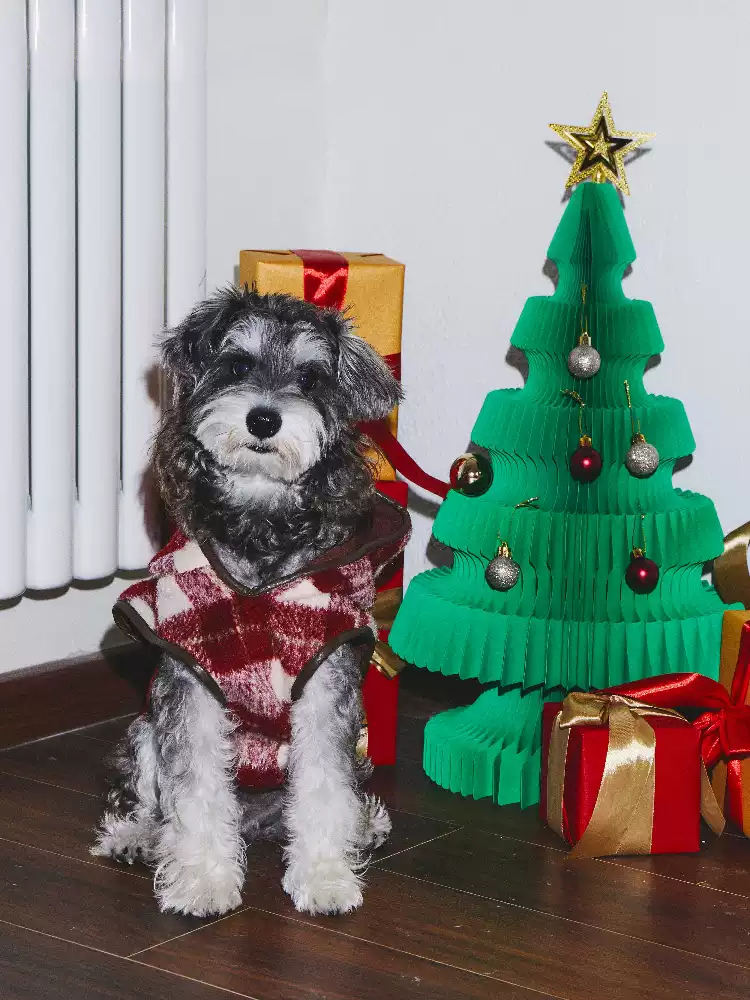 Heritage Plaid Hoodie