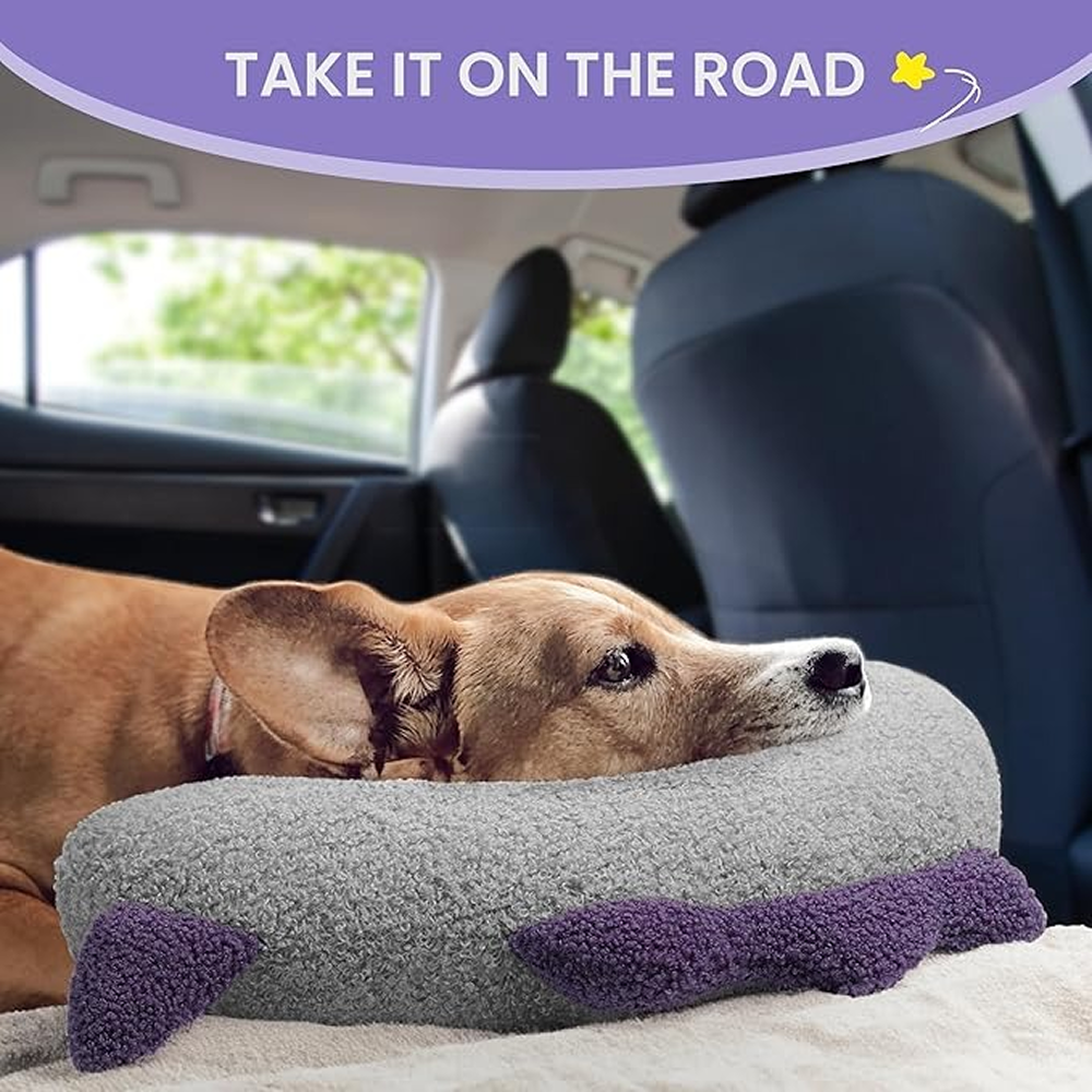 Dog resting on the neck pillow in the car