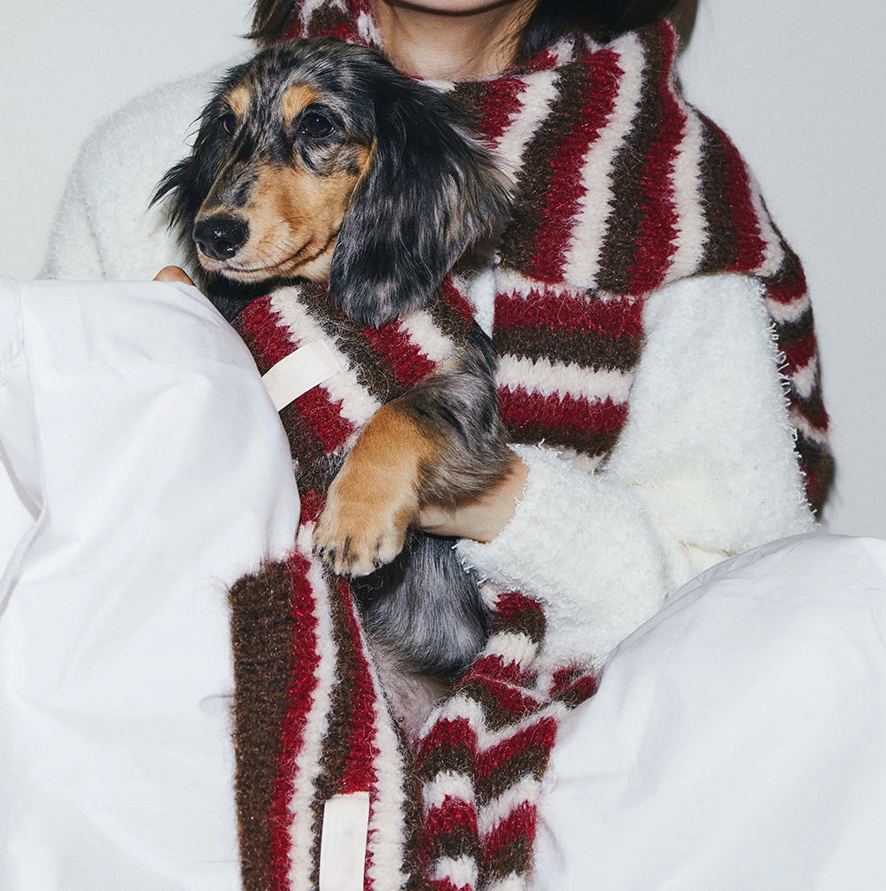 Dachshund and owner in matching Red Stripe scarves
