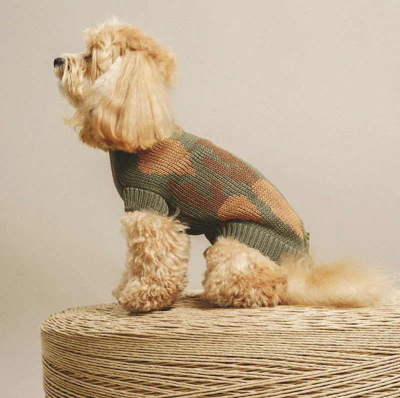 Small dog wearing the olive Peach Motif Cotton Turtleneck Dog Sweater