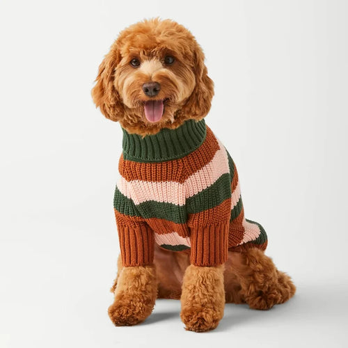 Curly-haired dog sitting in the Bold Stripe Turtleneck Dog Sweater in forest green, pink and rust stripes