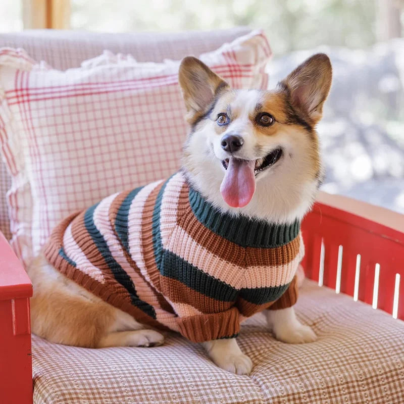 Corgi wearing the Bold Stripe Turtleneck Dog Sweater on a gingham chair