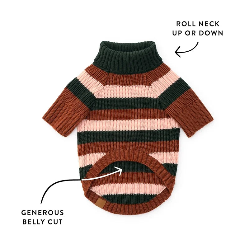 Bold Stripe Turtleneck Dog Sweater laid flat showing the roll neck and generous belly cut