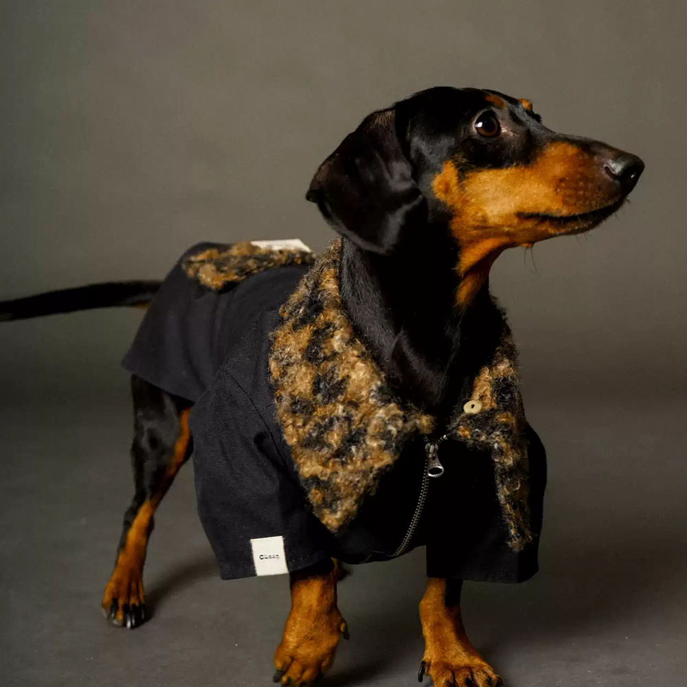 Urban Luxe Jacket (Dachshund only)