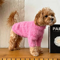 Small curly-coated dog wearing the pink Fluffy Knit Dog Sweater