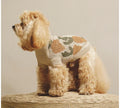 Small dog wearing the cream Peach Motif Cotton Turtleneck Dog Sweater