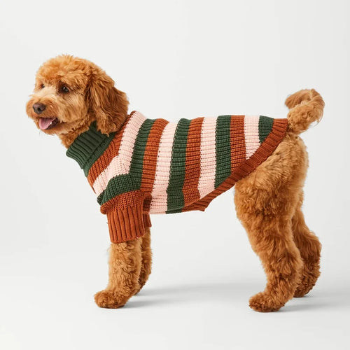 Side view of a dog wearing the Bold Stripe Turtleneck Dog Sweater