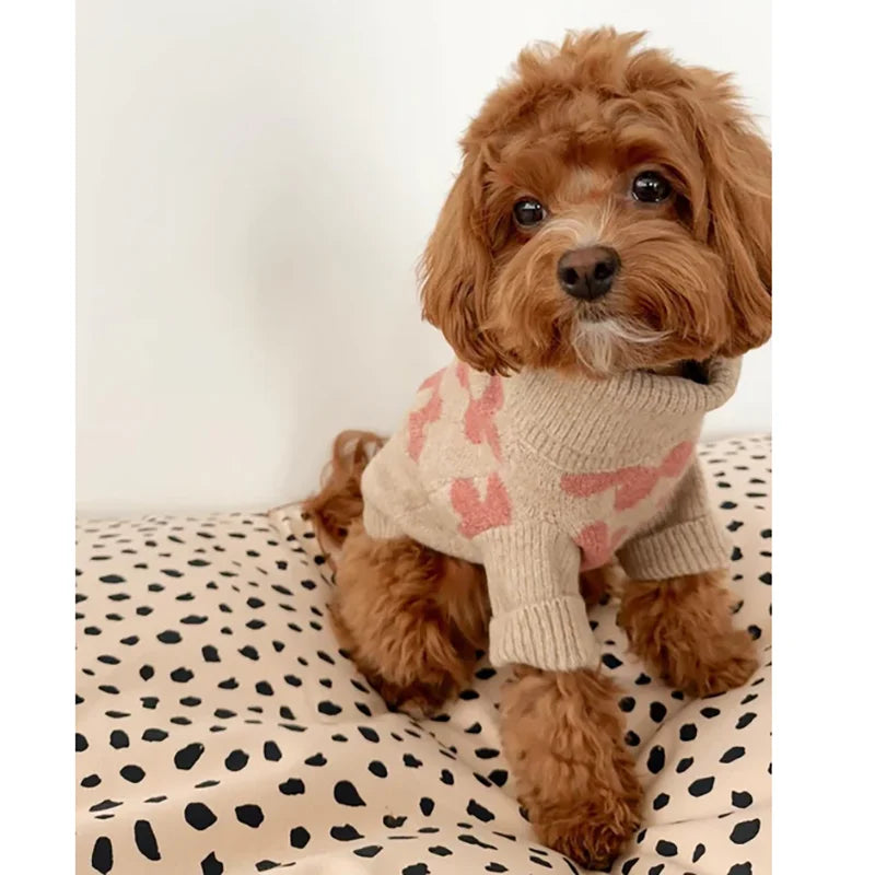 Curly-coated small dog wearing the taupe and pink floral turtleneck dog sweater