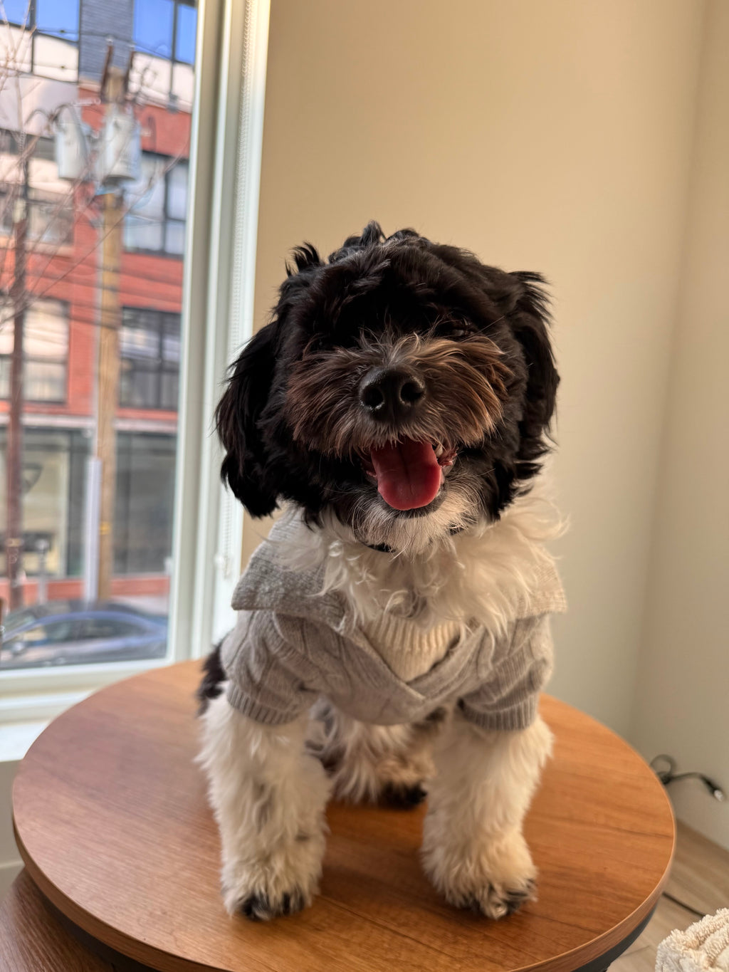 Cable-Knit Polo Sweater