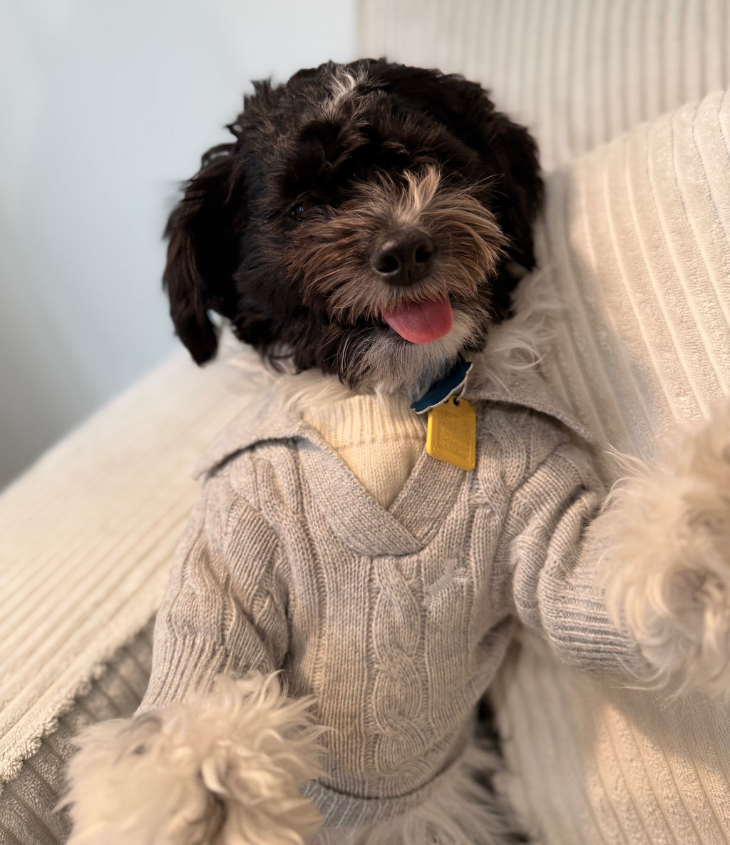 Cable-Knit Polo Sweater