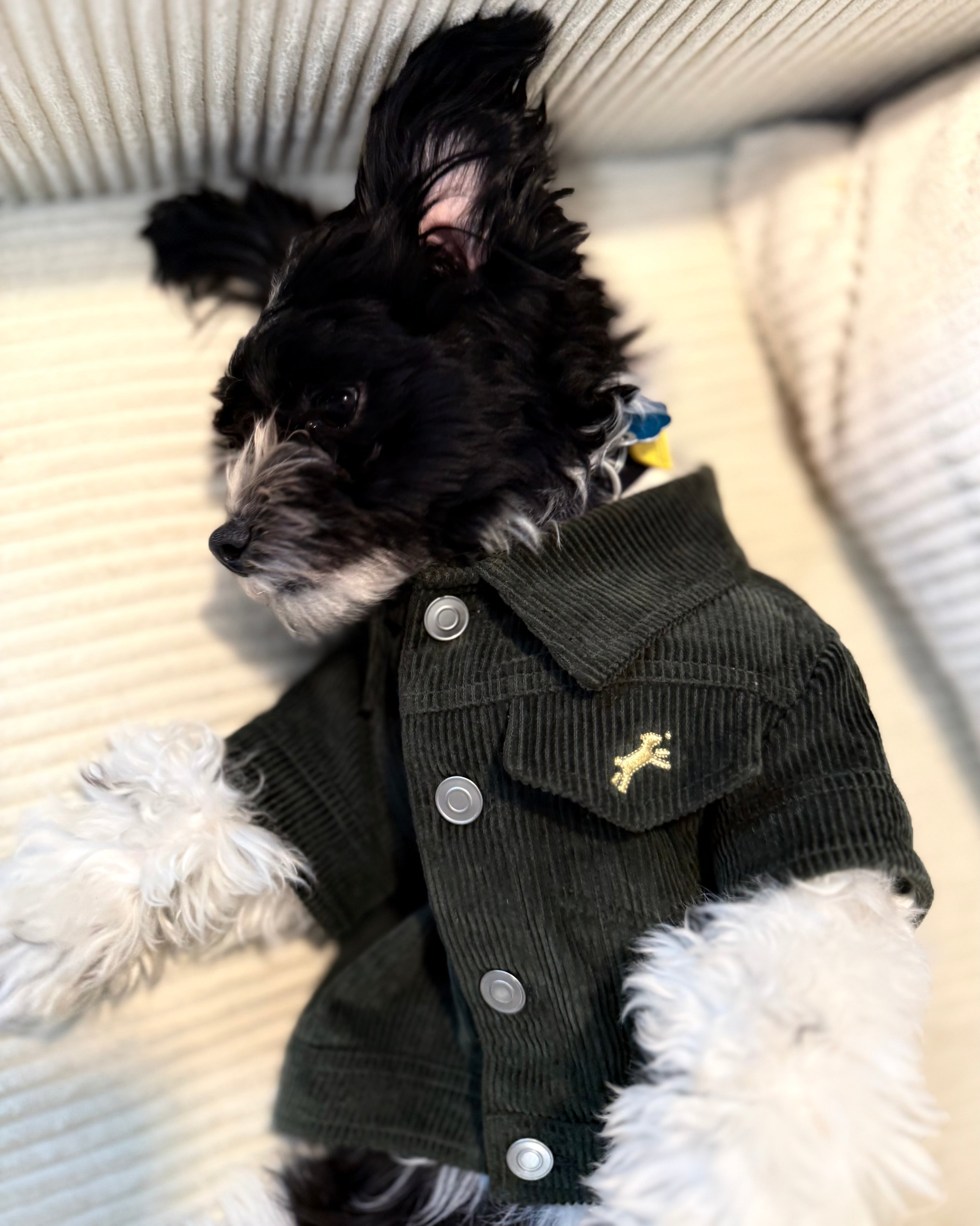 Heritage Suede Jacket