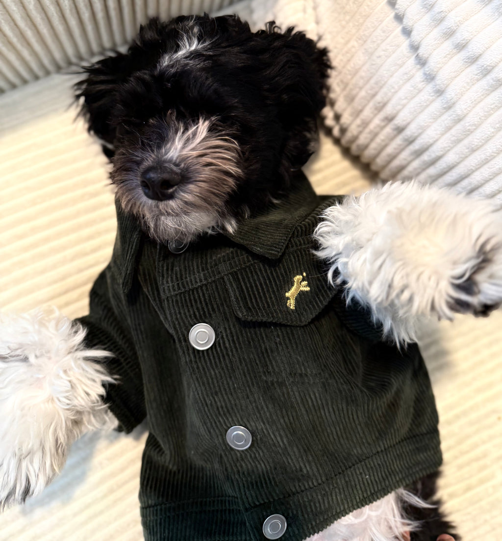 Heritage Suede Jacket