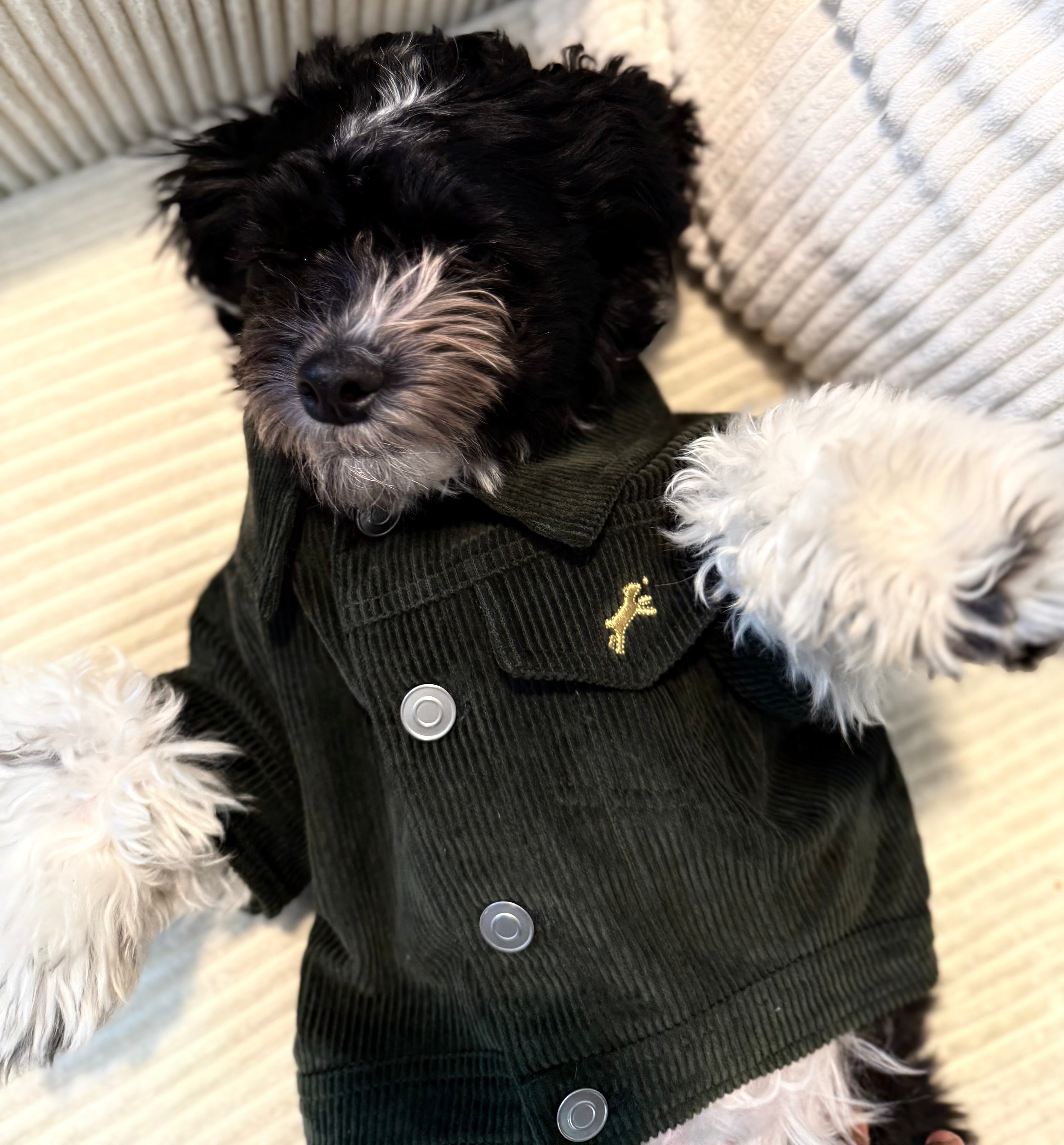 Heritage Suede Jacket