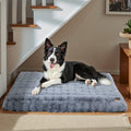 Border collie on the grey Plush Crate Bed