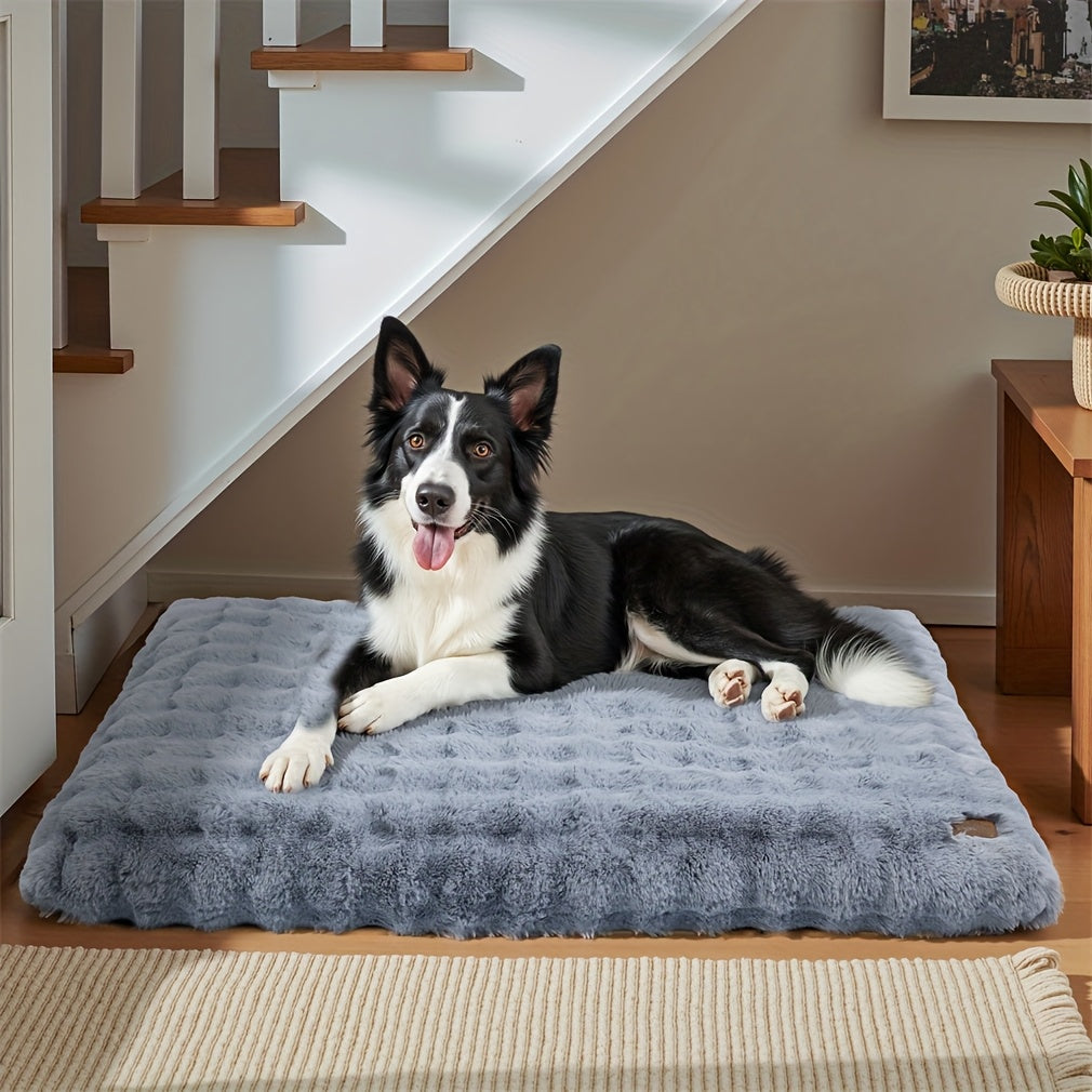 Border collie on the grey Plush Crate Bed