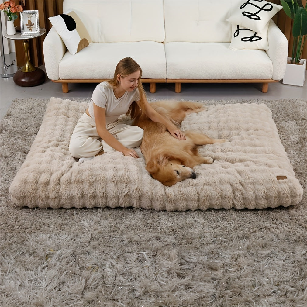 Owner and dog on the large beige bed